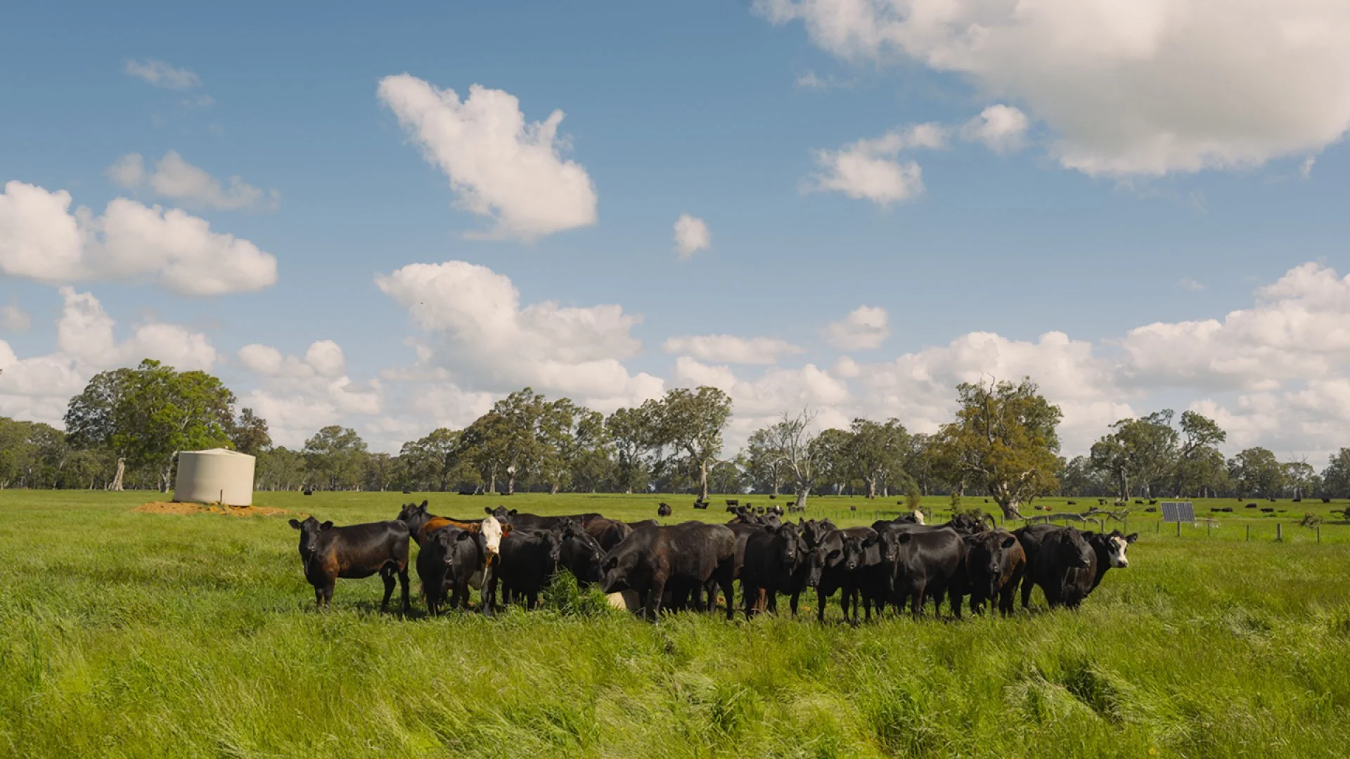 farmo-agtech-image-by-social-fixation-6a5047dc68fea.jpg