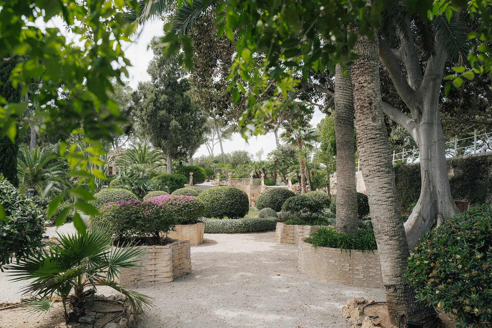 L1072943.jpg