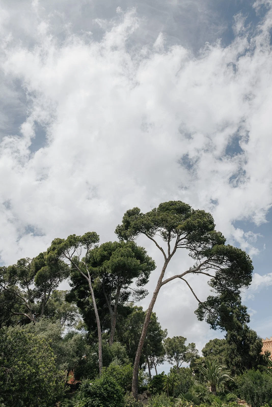 L1400432.jpg