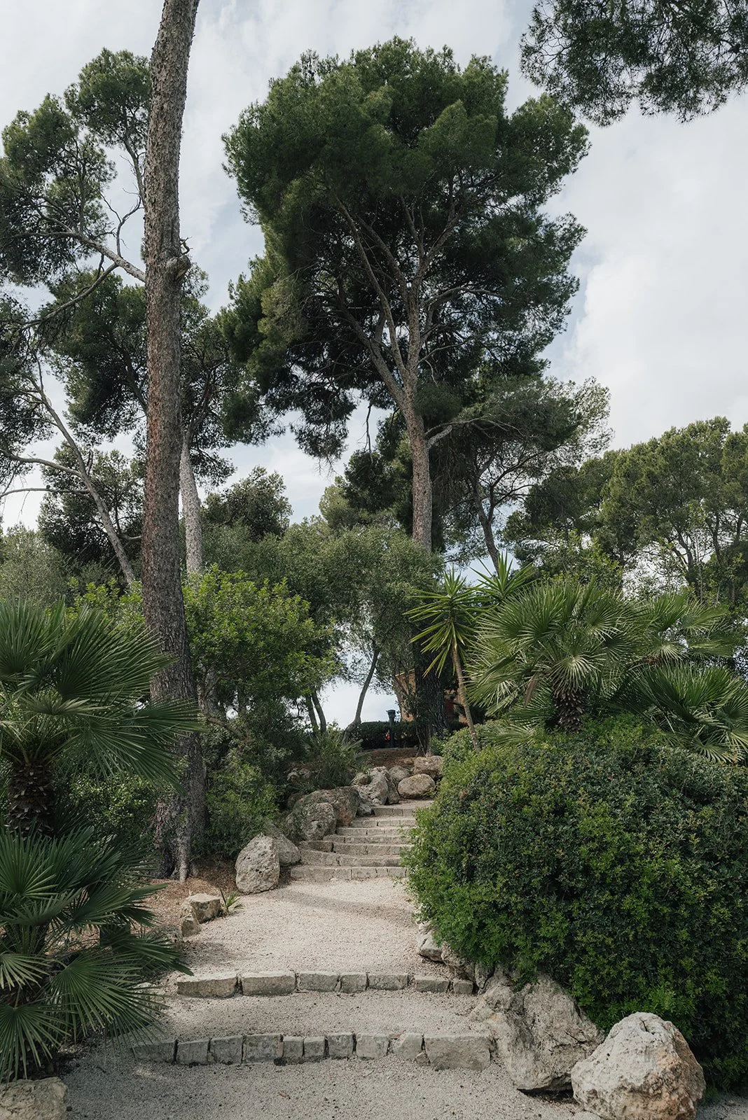 L1072954.jpg
