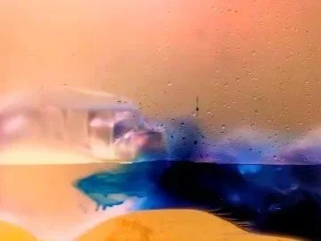 X = X by Disbury & Suz