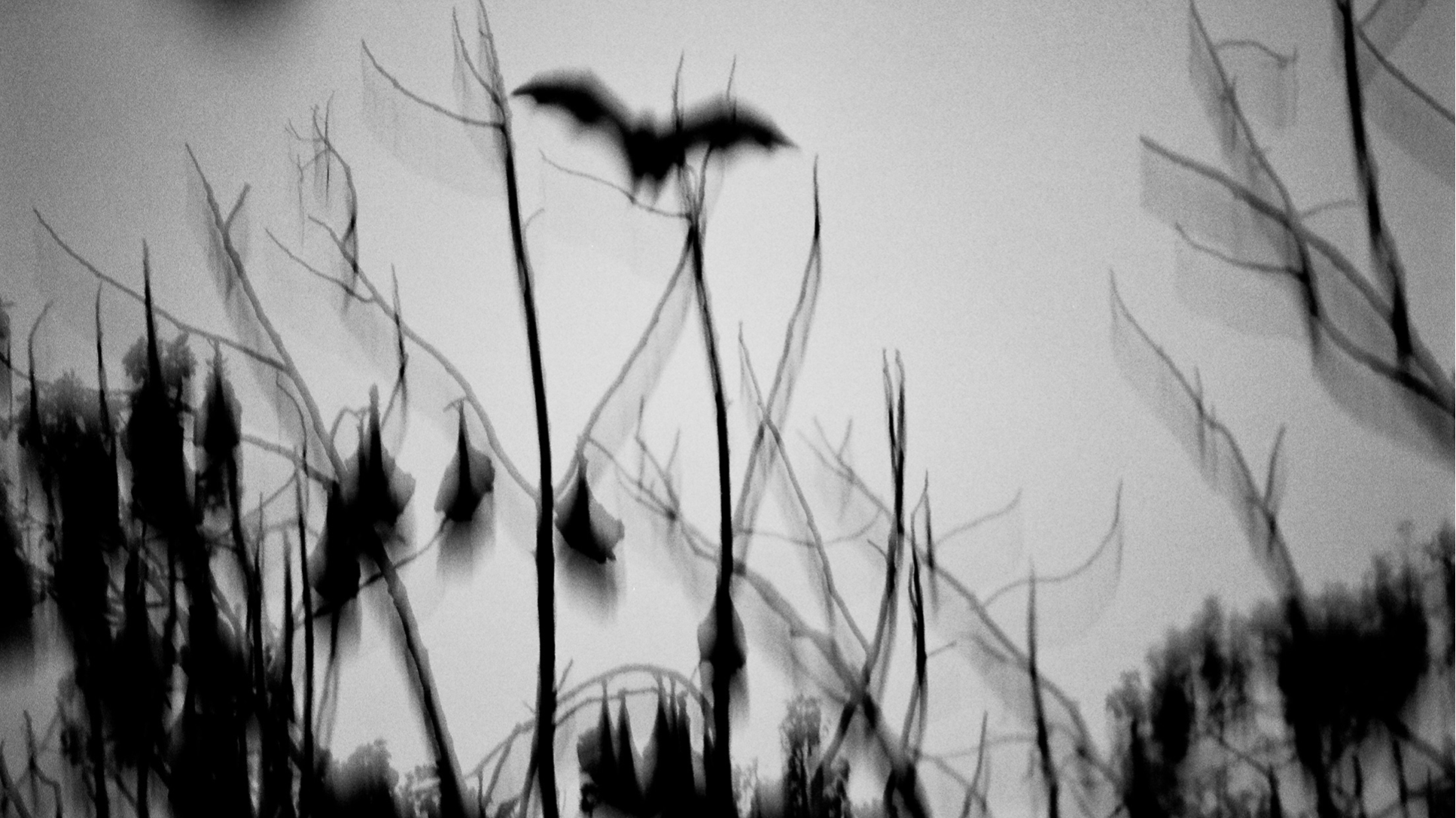A River Flows Into The Ocean      A photographic meditation on the human experience