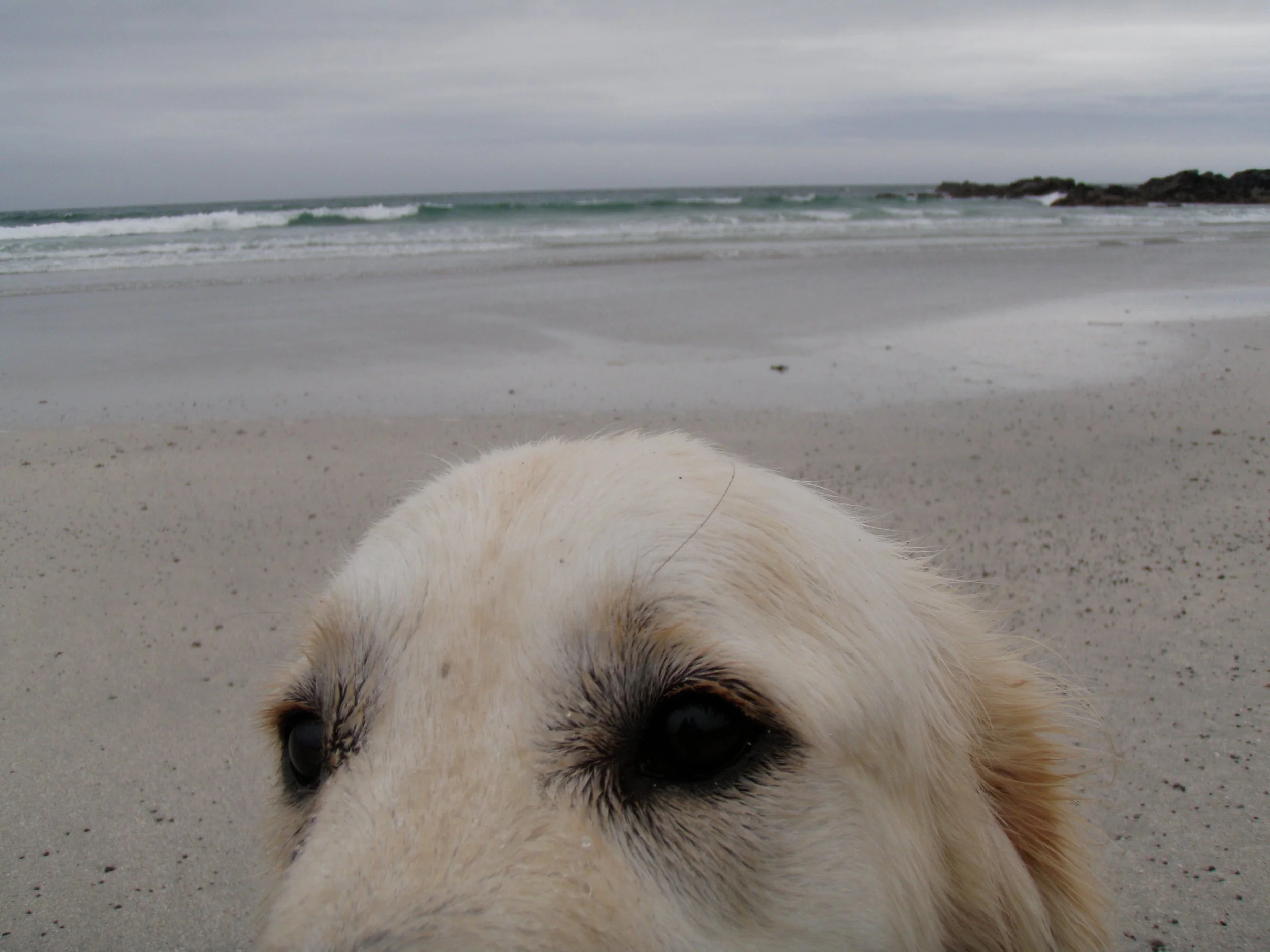 Paul photo Mikey.JPG