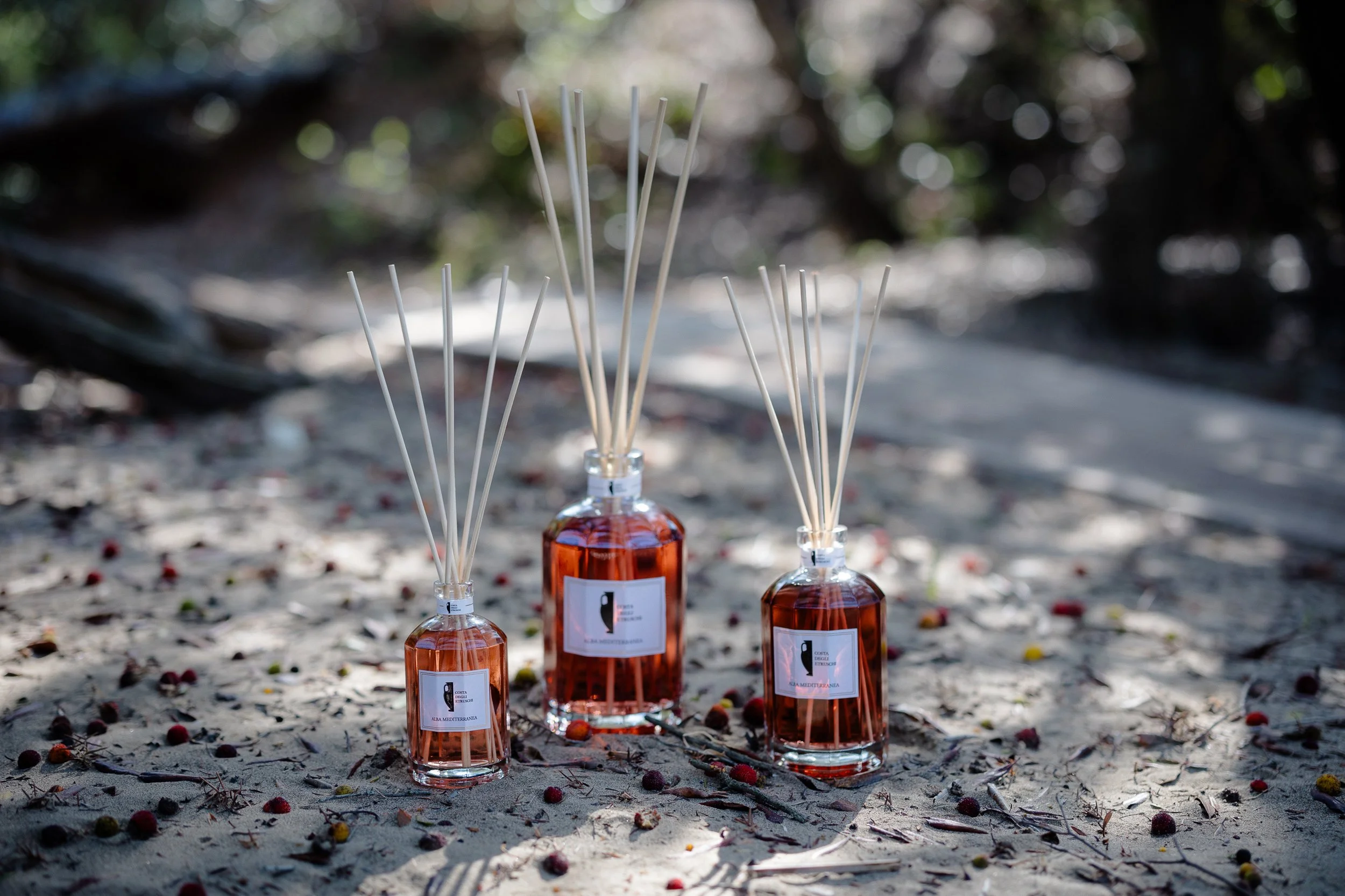 Three reed diffusers with amber-colored liquids in glass bottles on sandy ground, surrounded by small scattered berries and leaves, with blurred trees in the background.