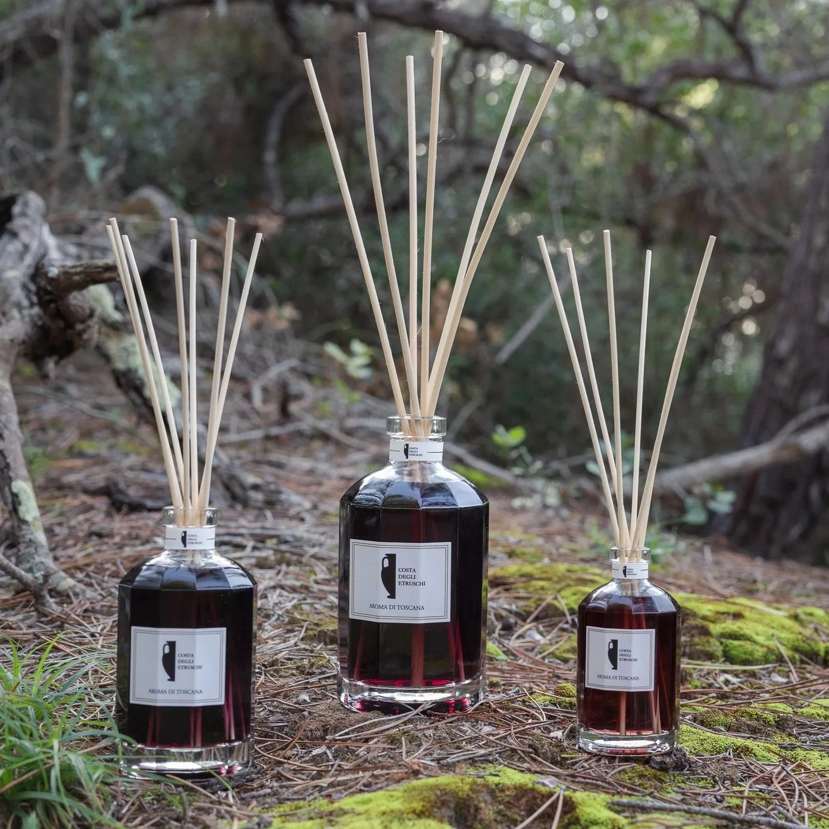 006-Aroma+Toscana+%7C+CdE+%7C+Paradu%CC%80+%7C+%40evujacicphoto-EVP_0676.jpg (Copy)