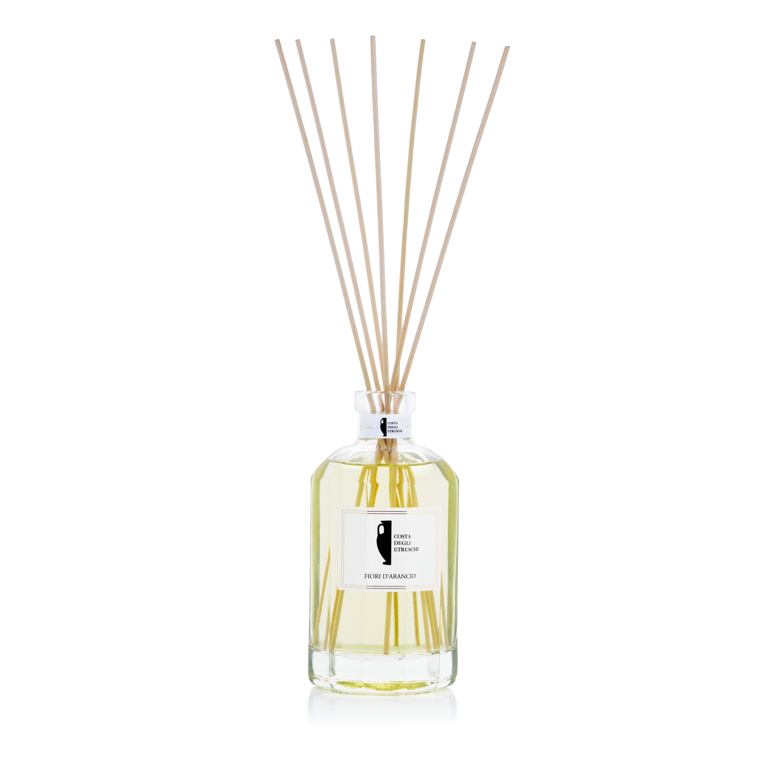 EVP_4566-Edit.png (Copy)