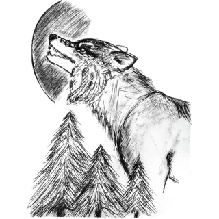 Hand-drawn pencil sketch illustration of a howling wolf with a full moon and pine trees, official footer logo for The Wolf and The Dog Leather Co.