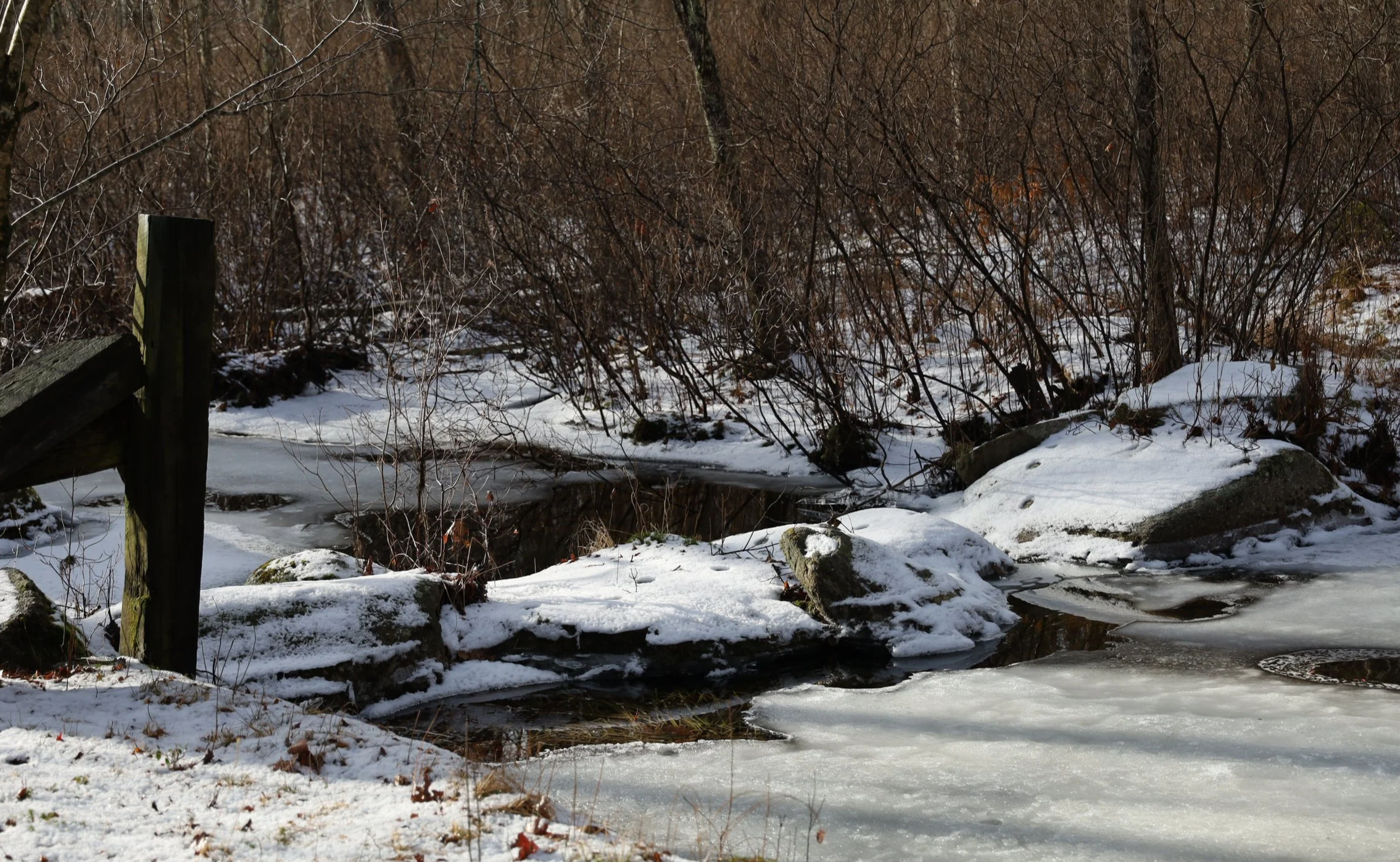 Snow-covered rocks and ice in a partially frozen stream, with leafless trees and bushes in the background.