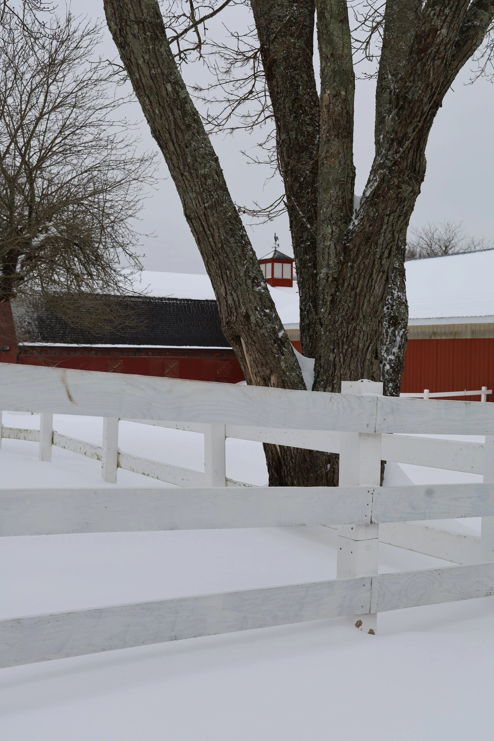 Red Rock Farm in the Still of Winter