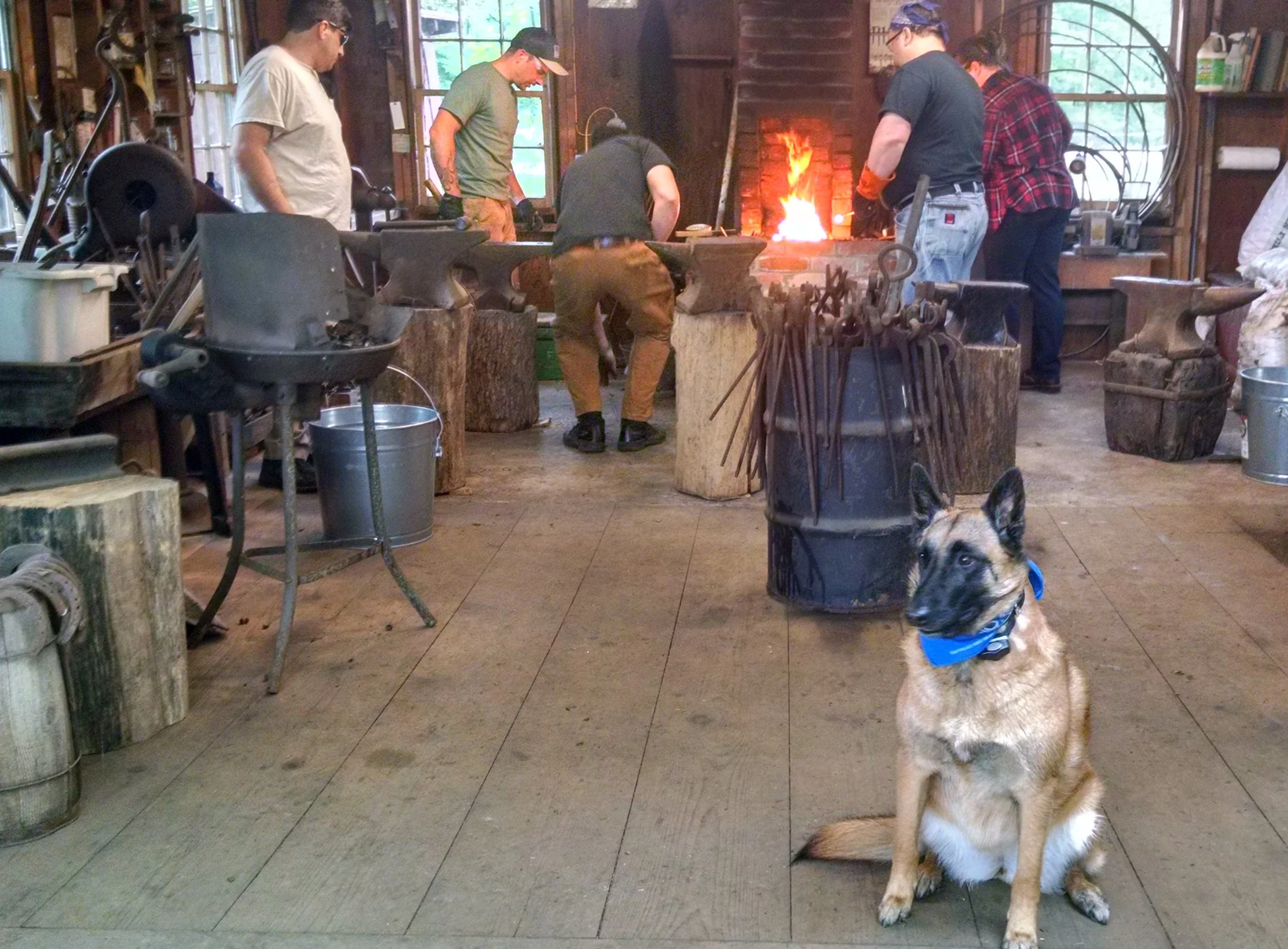 Blacksmiths working at a forge in a rustic workshop, with a seated Belgian Malnois dog wearing a blue bandana in the foreground.