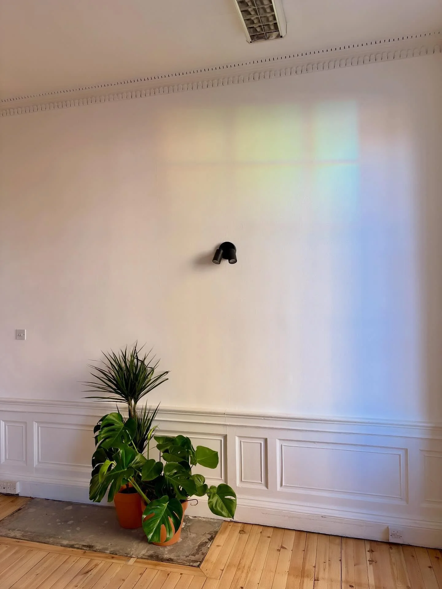 Such beautiful light coming through the windows of our exhibition space today. 

We&rsquo;ll be hanging artwork from two of our resident artists @vickyjpaul and @sidenius.art later this week for an Open Studio this weekend.

As the capital&rsquo;s ne
