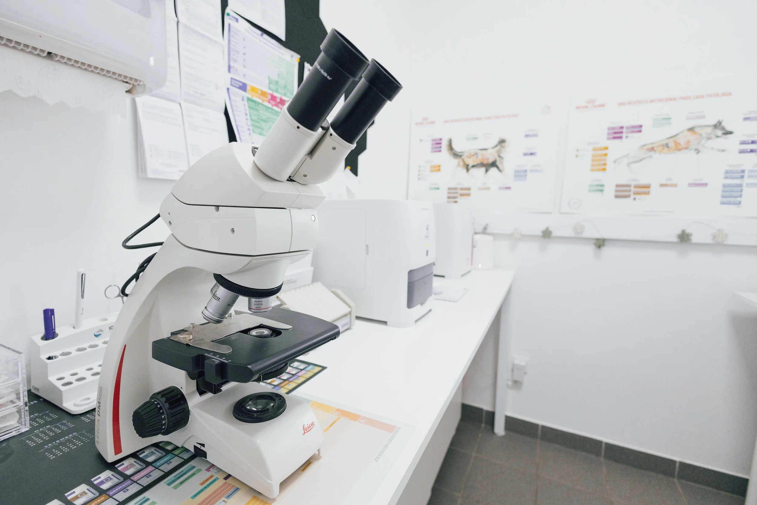 Microscópio em laboratório de veterinária com mapas anatômicos de animais ao fundo.