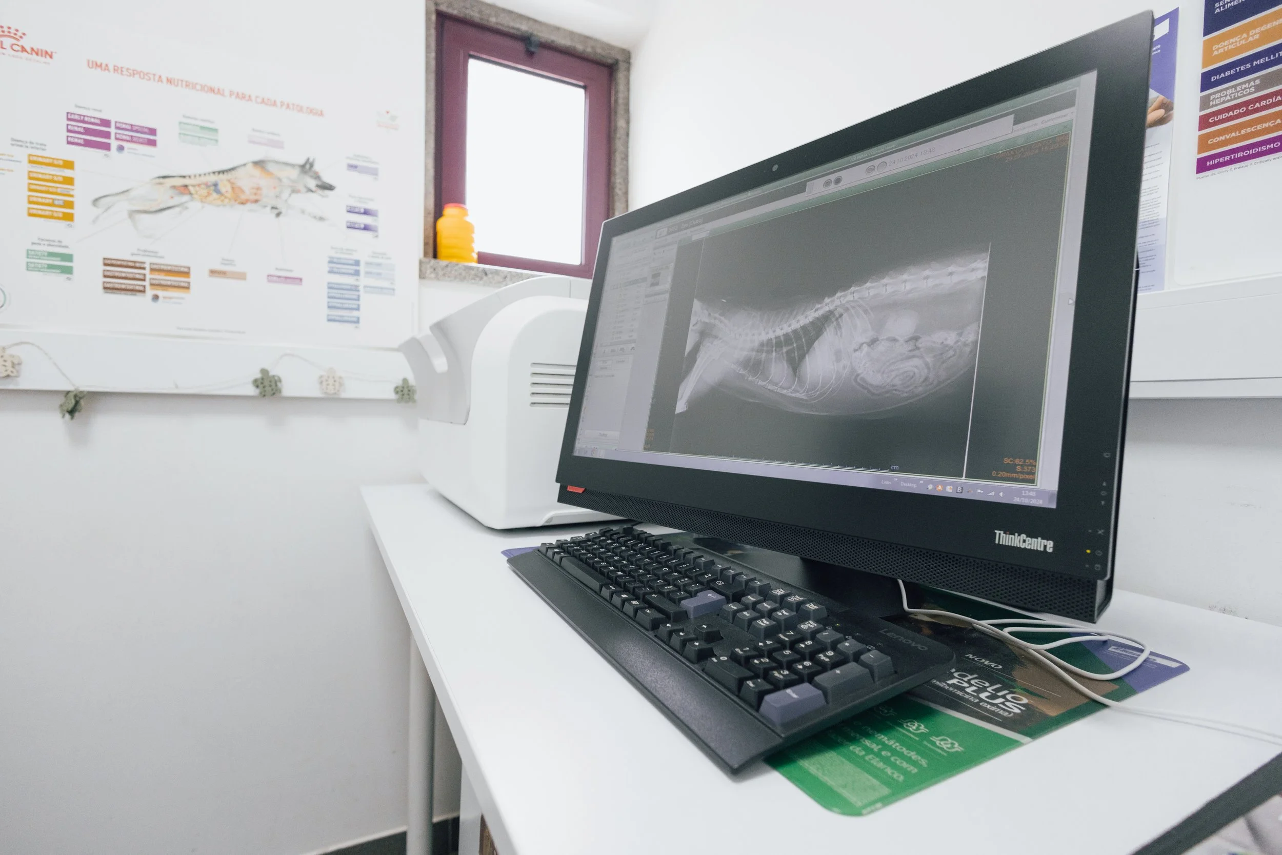 Tela de computador exibindo uma radiografia de um animal, possivelmente um cão ou gato, em um escritório veterinário com cartazes informativos na parede.