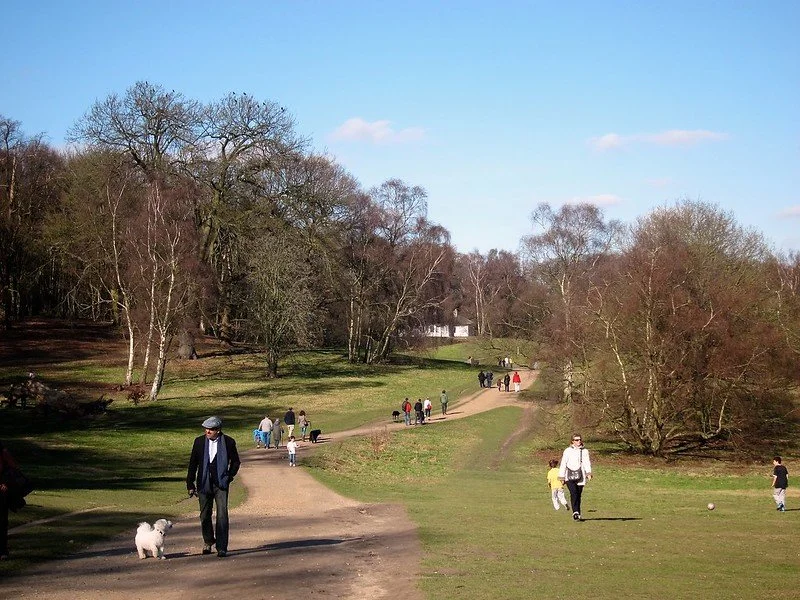 "Hampstead Heath, first hints of springtime, 25/02/2012" by DG Jones is licensed under CC BY-NC 2.0. To view a copy of this license, visit https://creativecommons.org/licenses/by-nc/2.0/?ref=openverse.