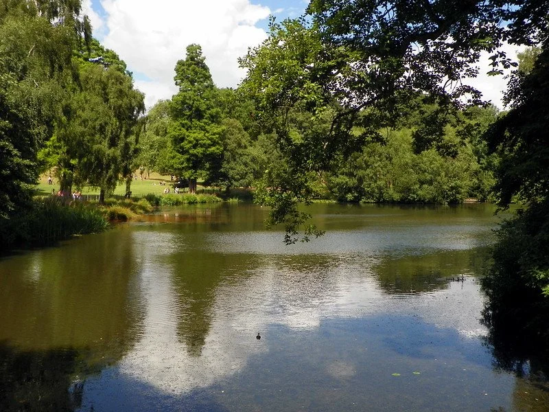"Wood Pond, Hampstead Heath" by Peter O'Connor aka anemoneprojectors is licensed under CC BY-SA 2.0. To view a copy of this license, visit https://creativecommons.org/licenses/by-sa/2.0/?ref=openverse.