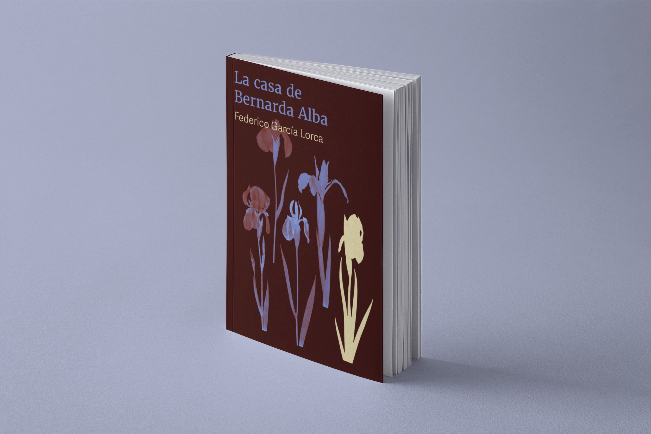 Book Perspective Mockup4.png
