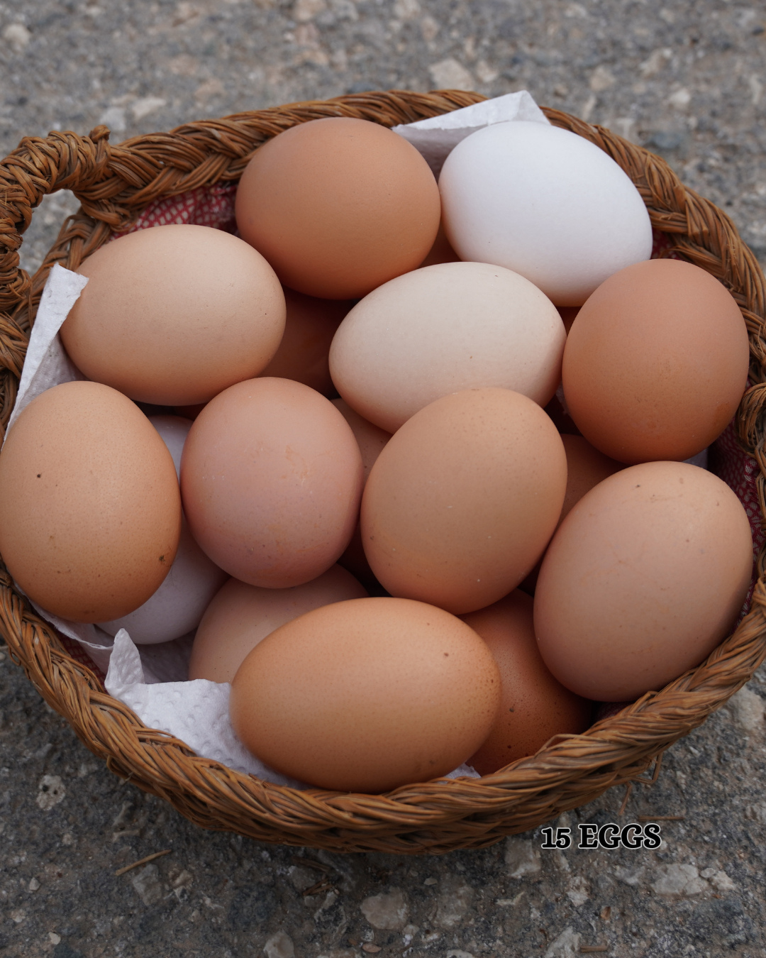 15 Farm Fresh Eggs in Barbados | Premium Local Eggs | Ernesta's Luxury Experiences