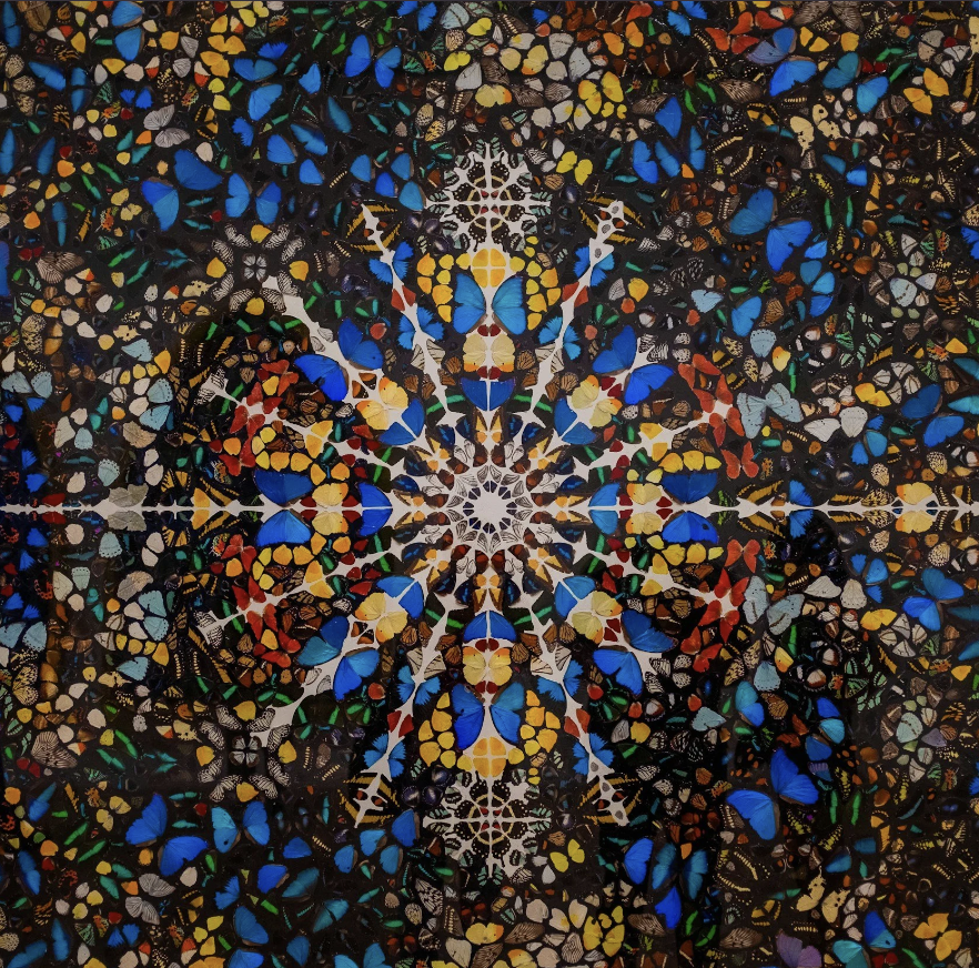 The Power of Sovereign | Unified Through Differentiation