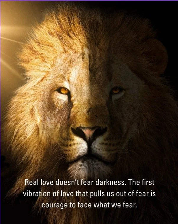 We focus a lot on the softer qualities of the heart such as peace, compassion, and joy, but we forget that love is our ability to find peace, have compassion and experience joy in the face of fear - not to deny the negative polarity. Real love is fou