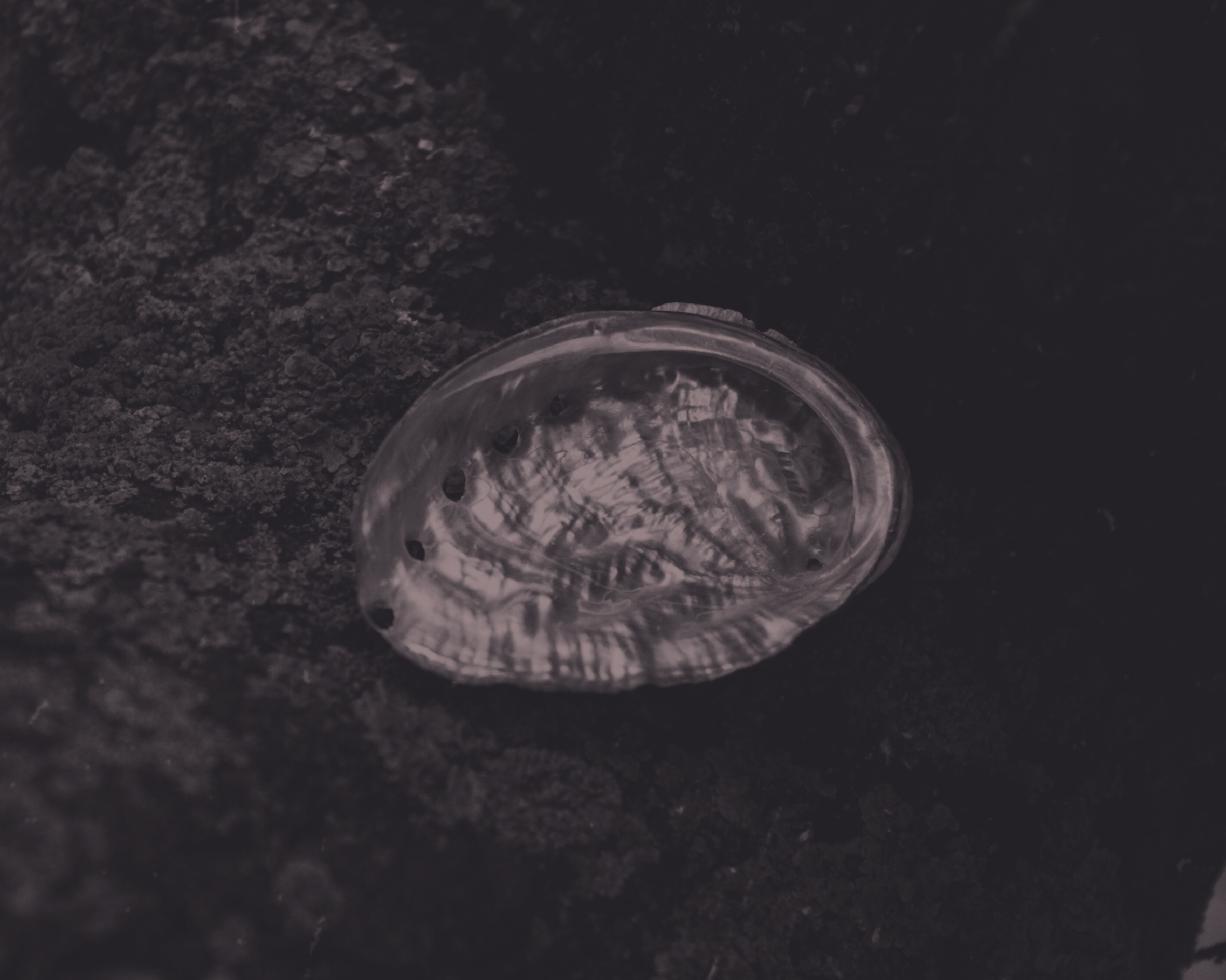 Sexual Biohacking: Von Besserem Sex zu heiligem Sex
