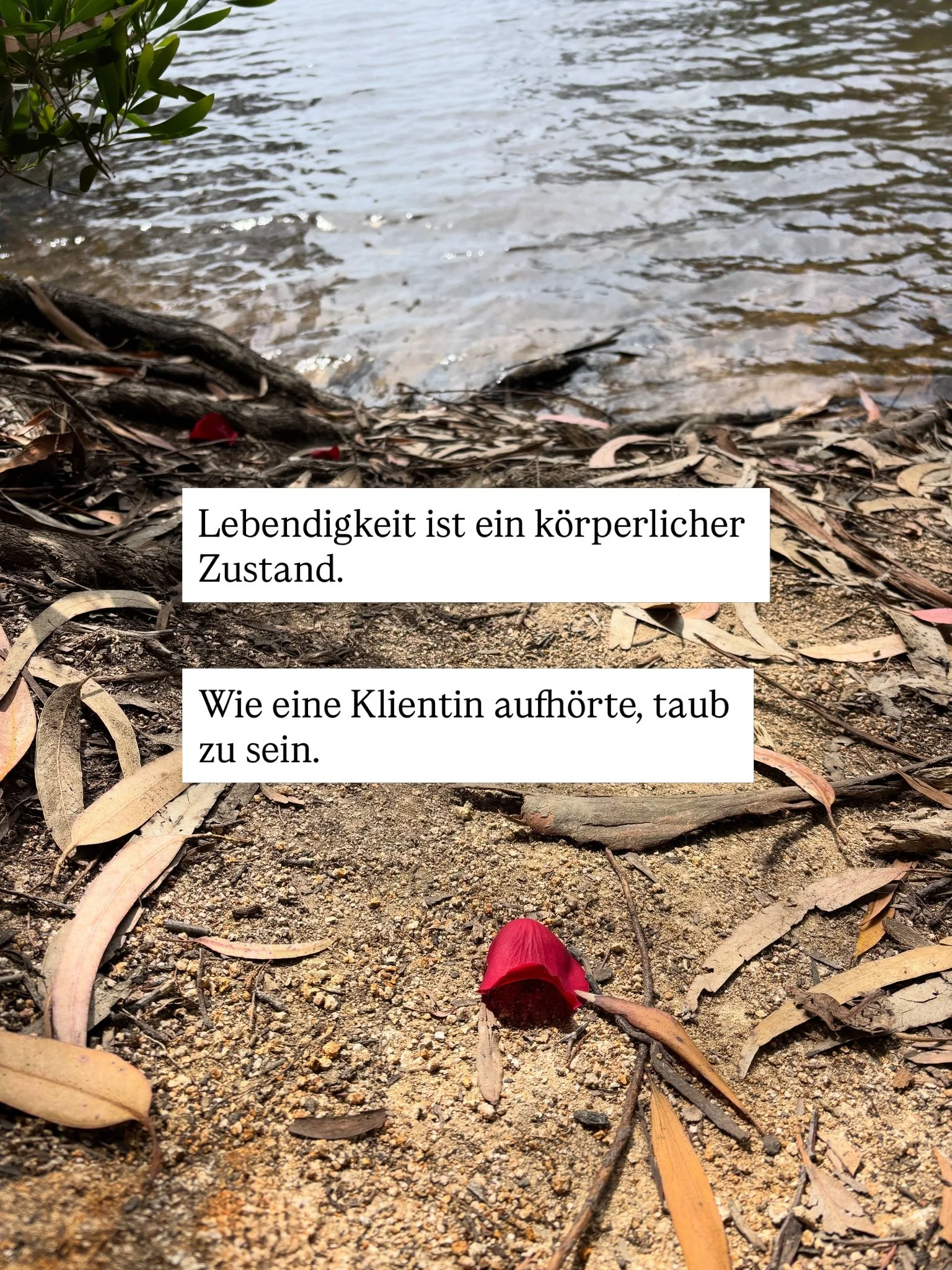 Ich durfte letzte Woche eine Klientin verabschieden &amp; gleichzeitig war es ein Willkommenhei&szlig;en bei ihr selbst.

Sie kam zu mir im &bdquo;Good Girl&ldquo;- und People-Pleasing-Modus. Sie sagte viel zu oft &bdquo;Ja&ldquo;, wenn ihr K&ouml;rp