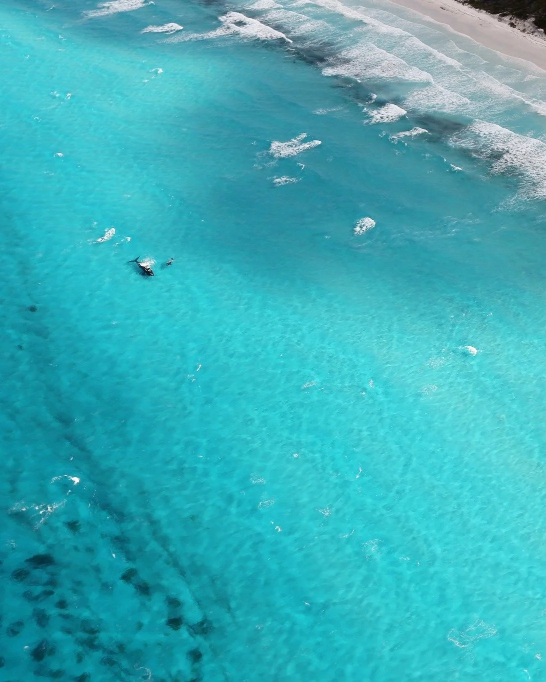 Life on the Water: Summer Series #16 - Destination Spotlight ☀️🌊
Albany and King George Sound. Stunning scenery, but respect the conditions and pick the right day.
📸 @albanyadvertiser 
@bia__wa #perthboatshow #perthboating #perthlifestyle #perthboa
