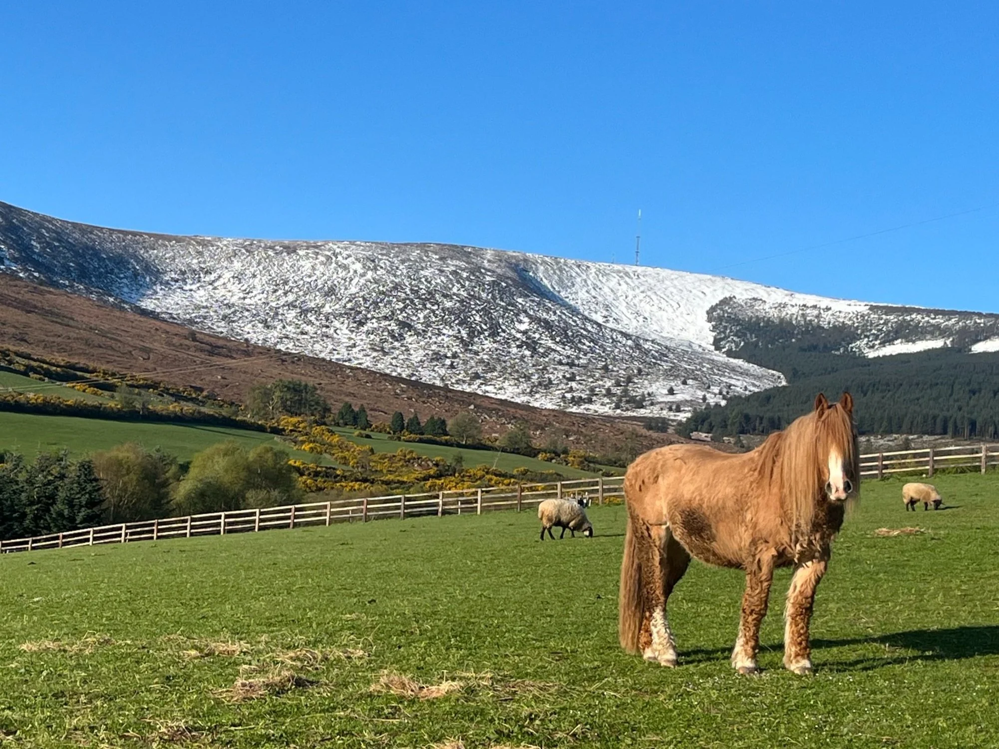 You Can’t Rush a Season