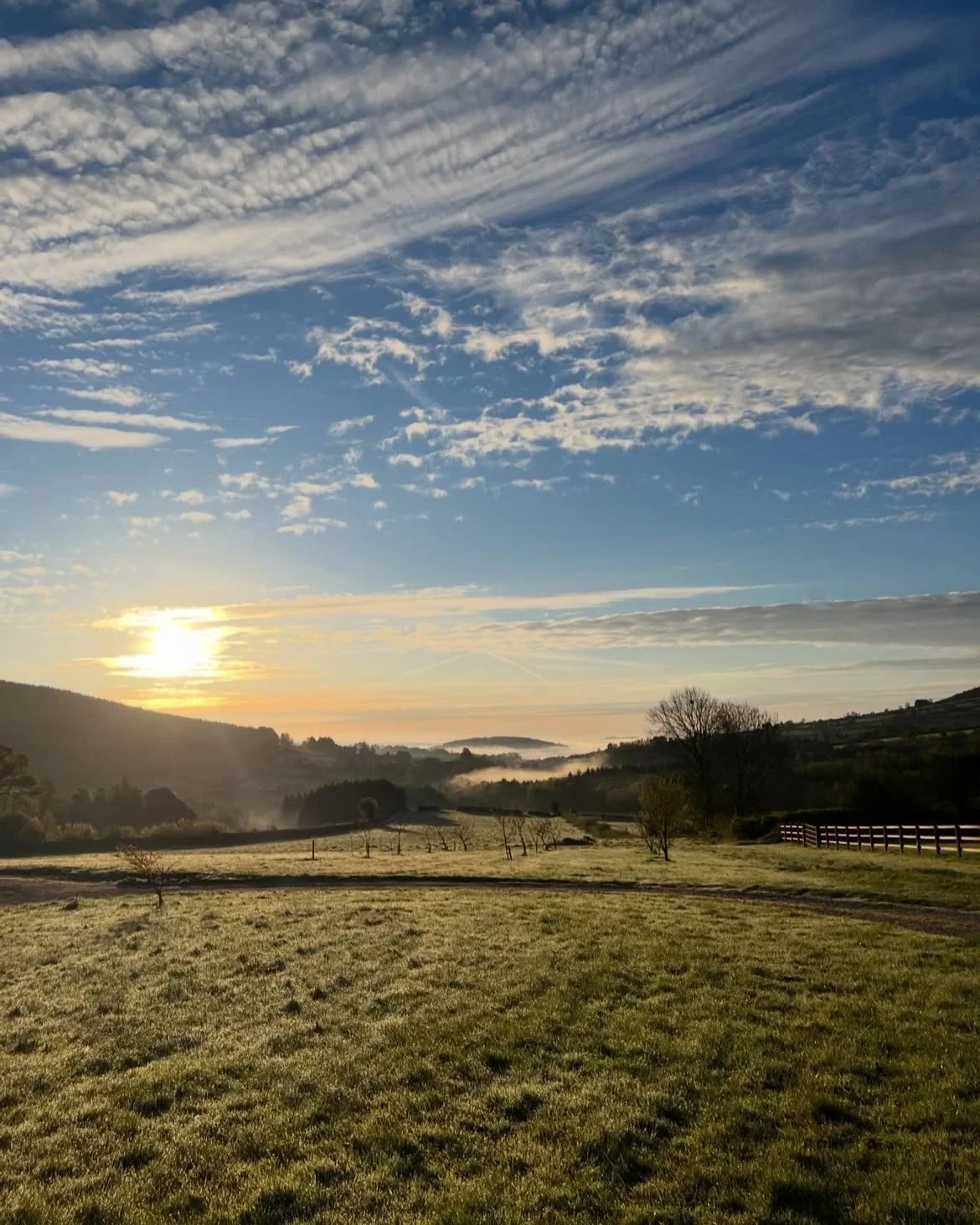 You Have to Rest the Field to Grow Again