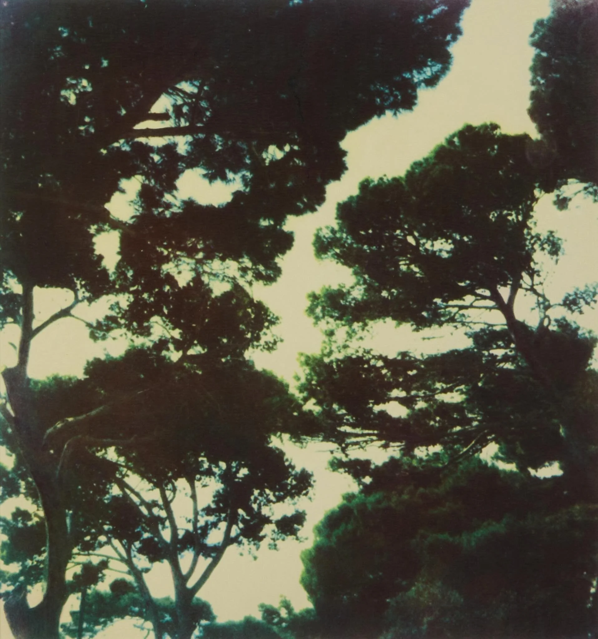upcoming breathwork groups:

april 27 at 7pm ET &mdash; pay what you can, virtual with @allymaz (tonight!)

may 8 at 7:45pm ET &mdash; NYC active breathwork at @souk.studio 

you know where to find the links :)