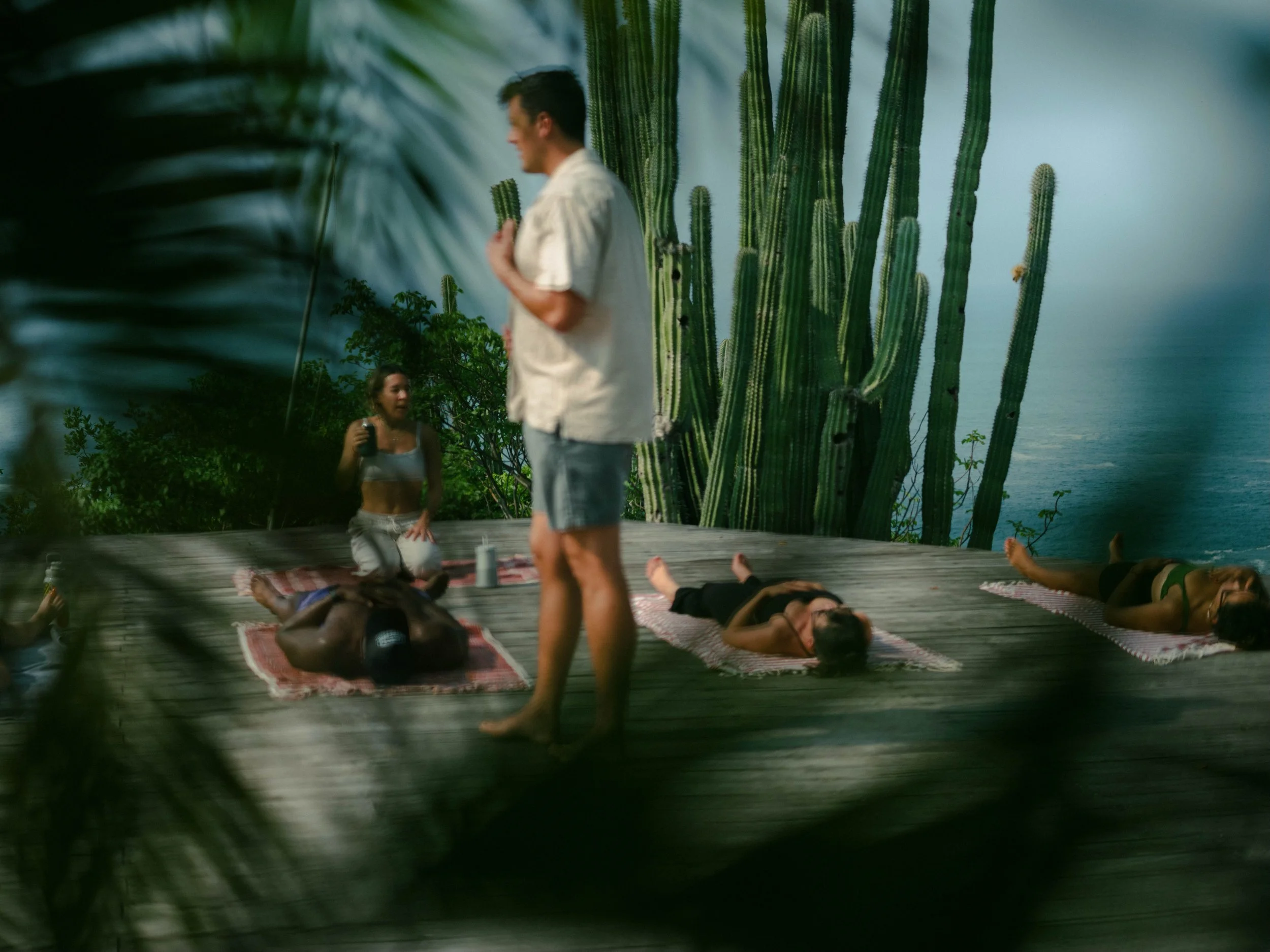 People practicing yoga on a wooden deck near large cactus plants and tropical foliage, with a view of the ocean in the background.
