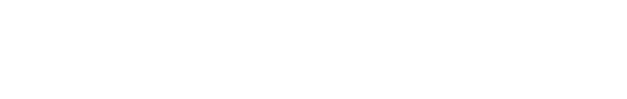 PATRICK SLANZI / ACTOR