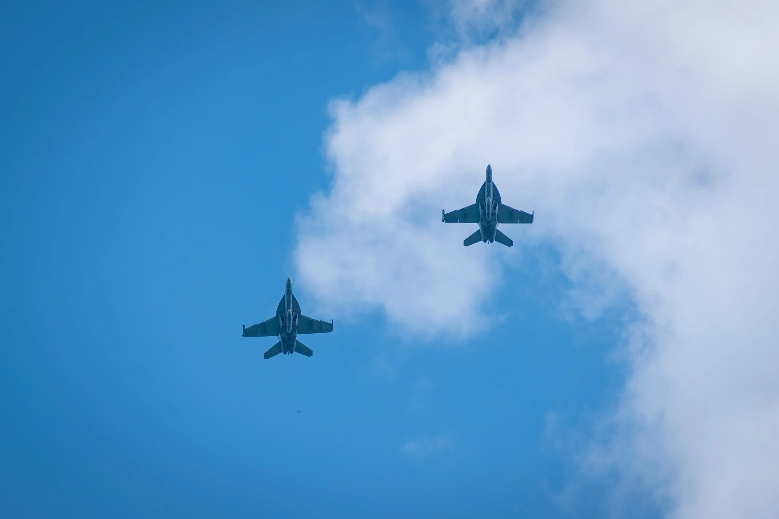 NIKON D560016269-Enhanced-NR.jpg