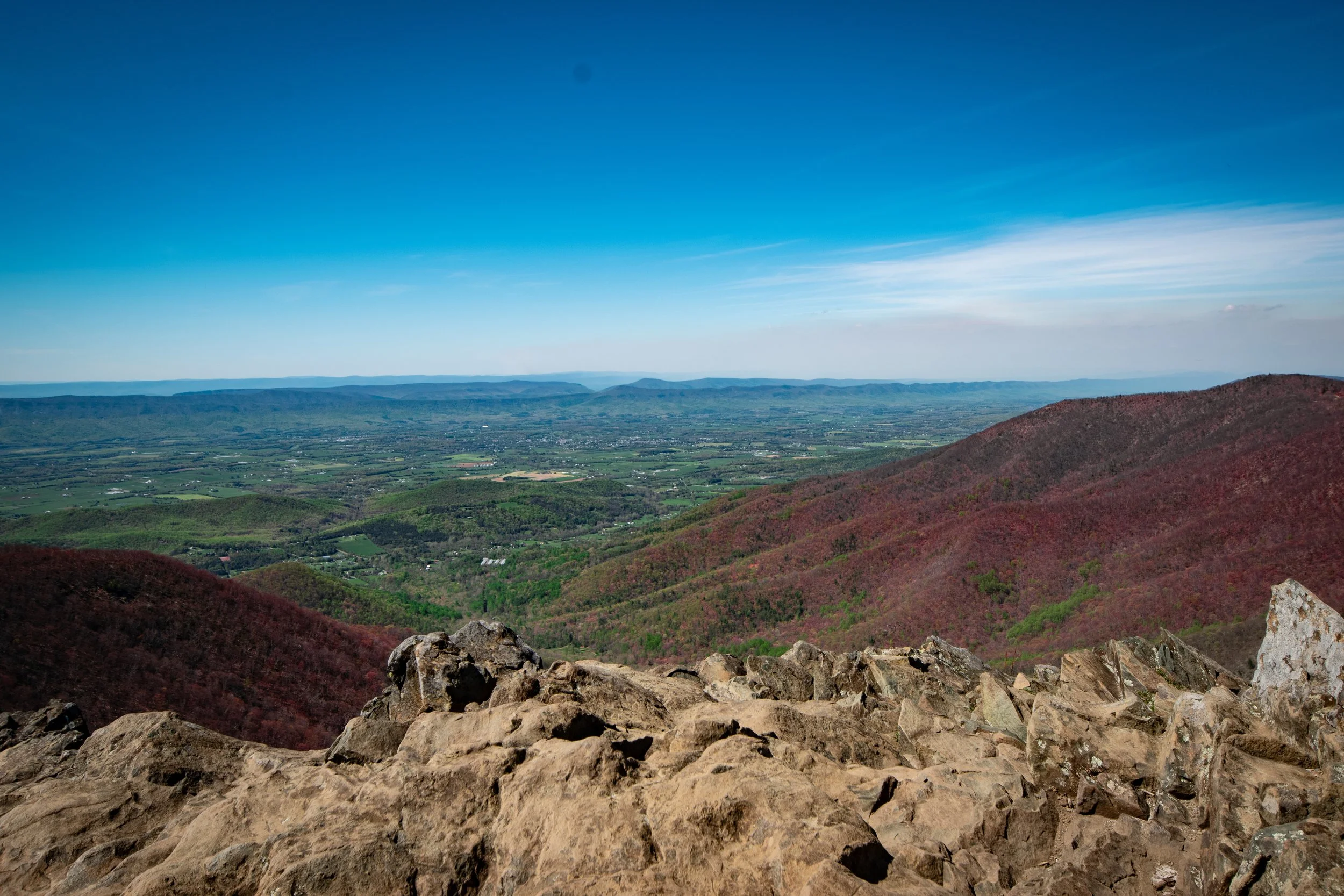 SAI_0111-HDR.jpg