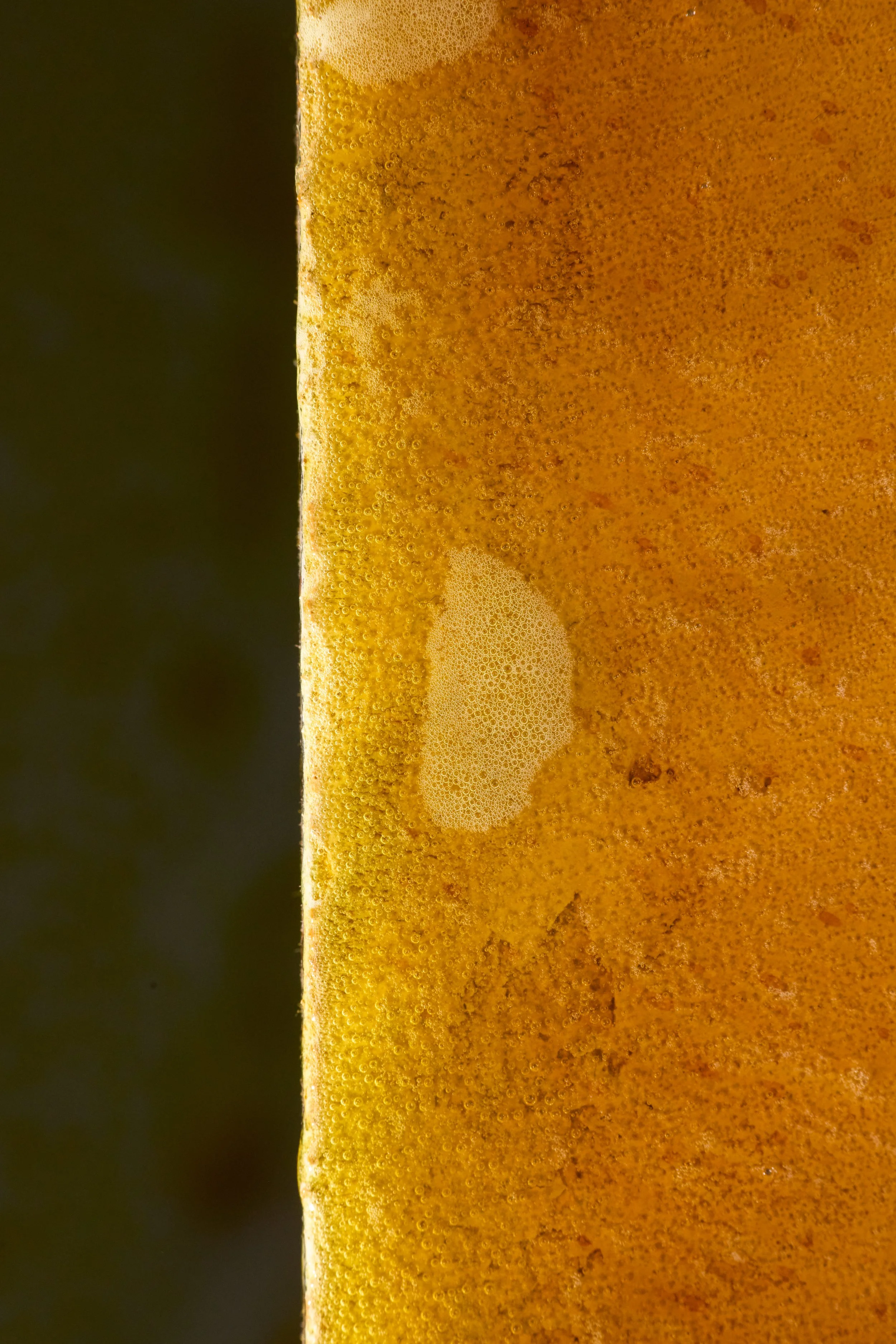 acid stain_0 153.jpg