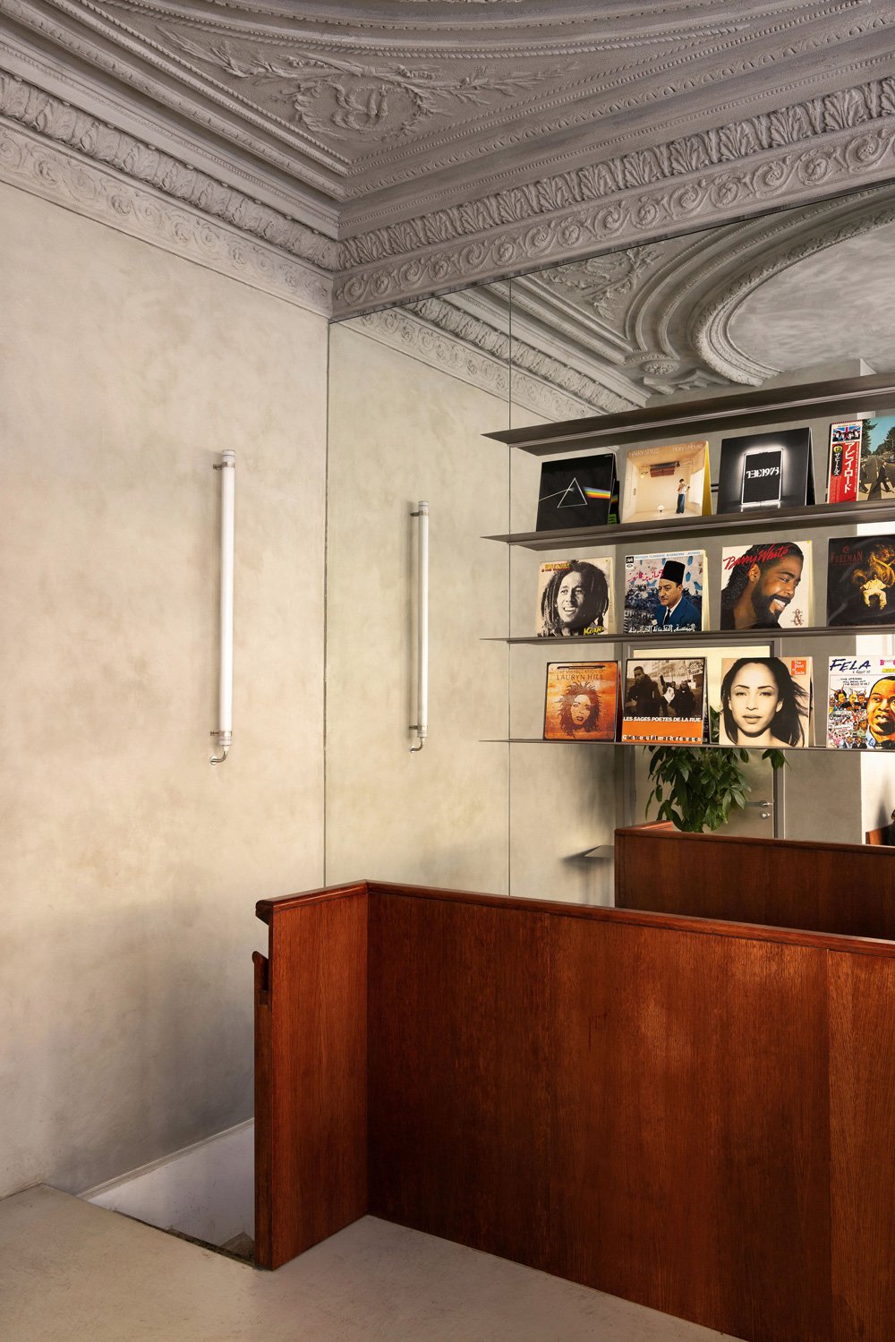 Coin intérieur avec une bibliothèque de disques vinyles sur une étagère, un mur beige, un plafond orné de moulures et un arbre vert dans un pot près d'un comptoir en bois.