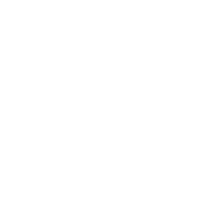 Icon of a barn