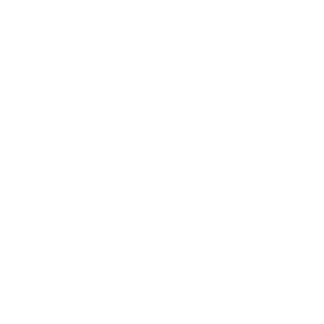 Icon of an insect