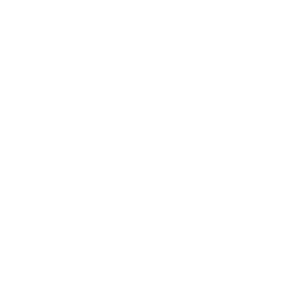 Icon of a barn