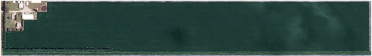 Image of a long plot of corn field from above