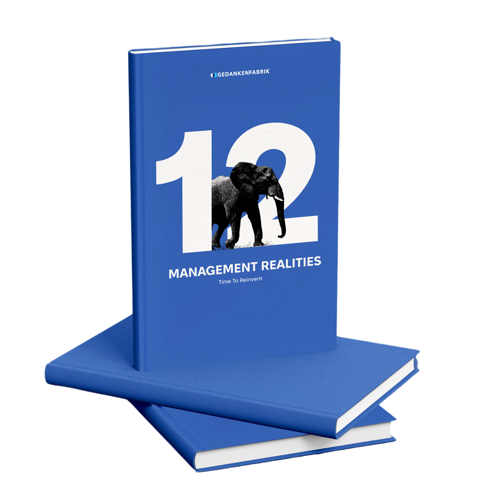 The book 12 Management Realities – Time to Reinvent, by Gedankenfabrik