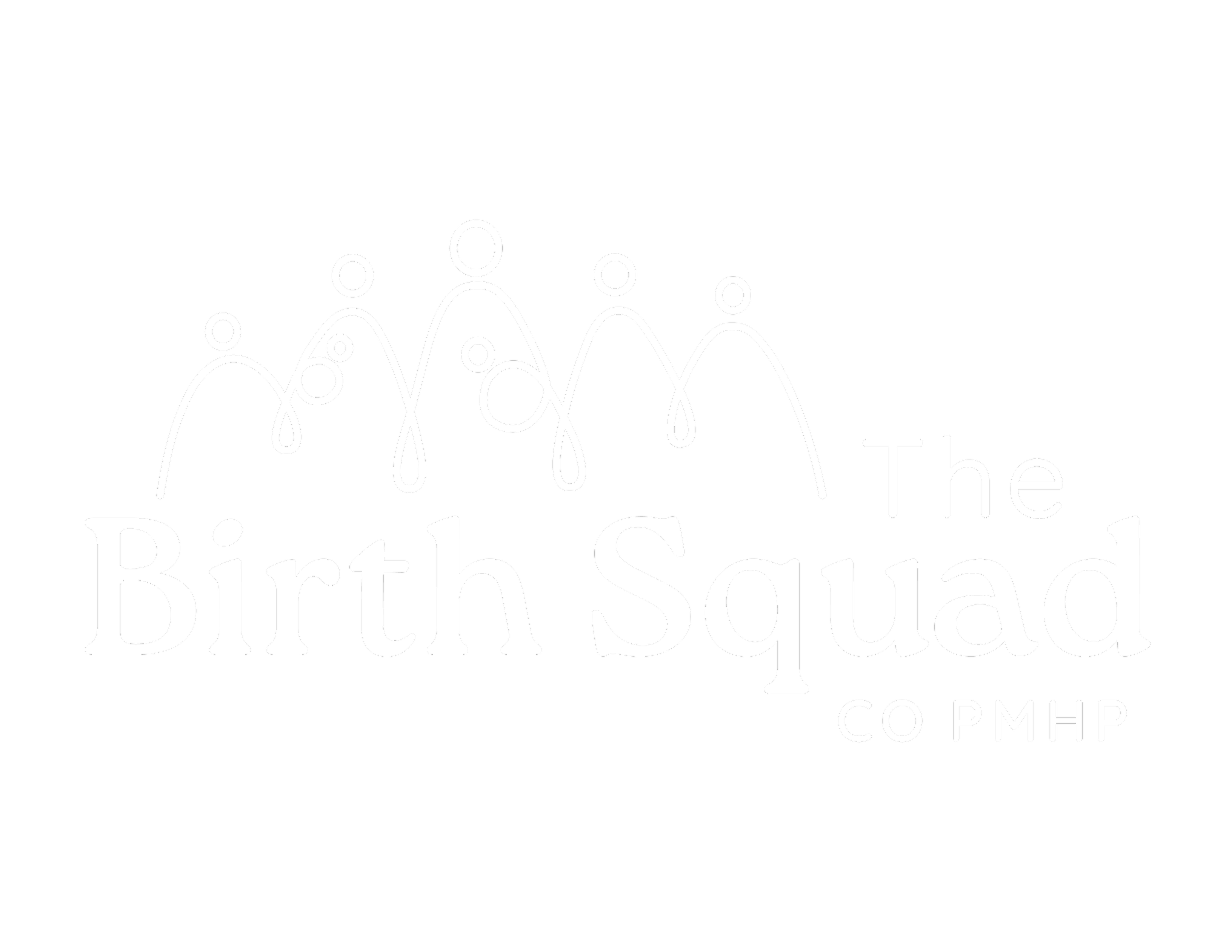 Logo for The Birth Squad, CO PMHP, featuring a stylized graphic of a blood drop with a network of lines and dots, and the text 'The Birth Squad' and 'CO PMHP'.