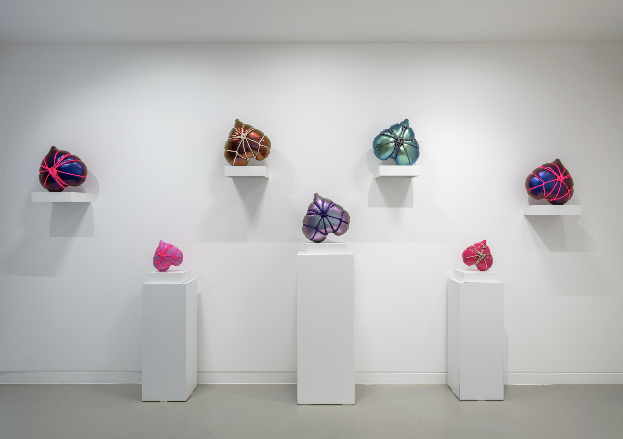 Screenshot 2026-02-27 at 13.11.51.png