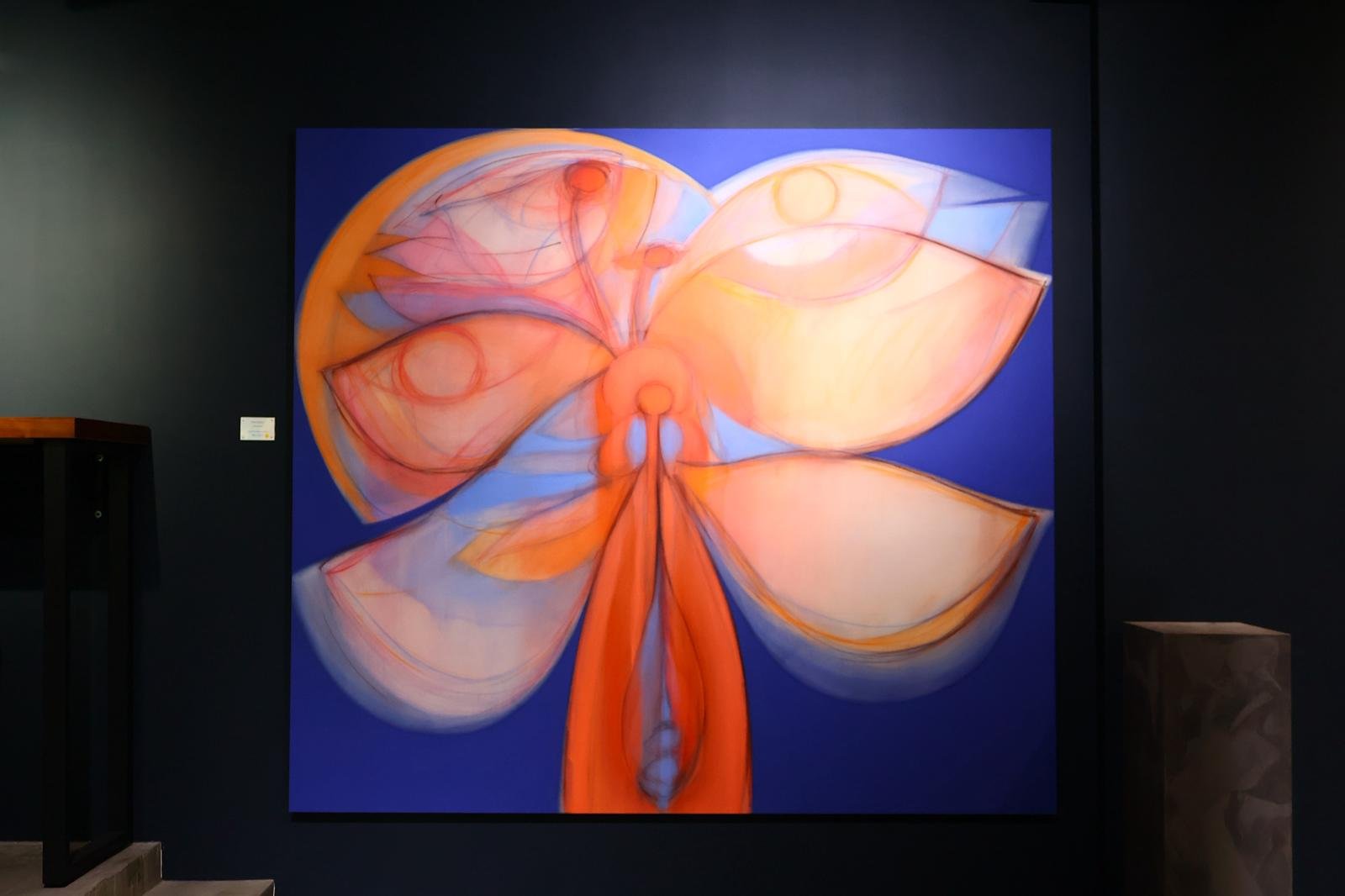 WhatsApp Image 2025-07-12 at 02.03.17 (1).jpeg