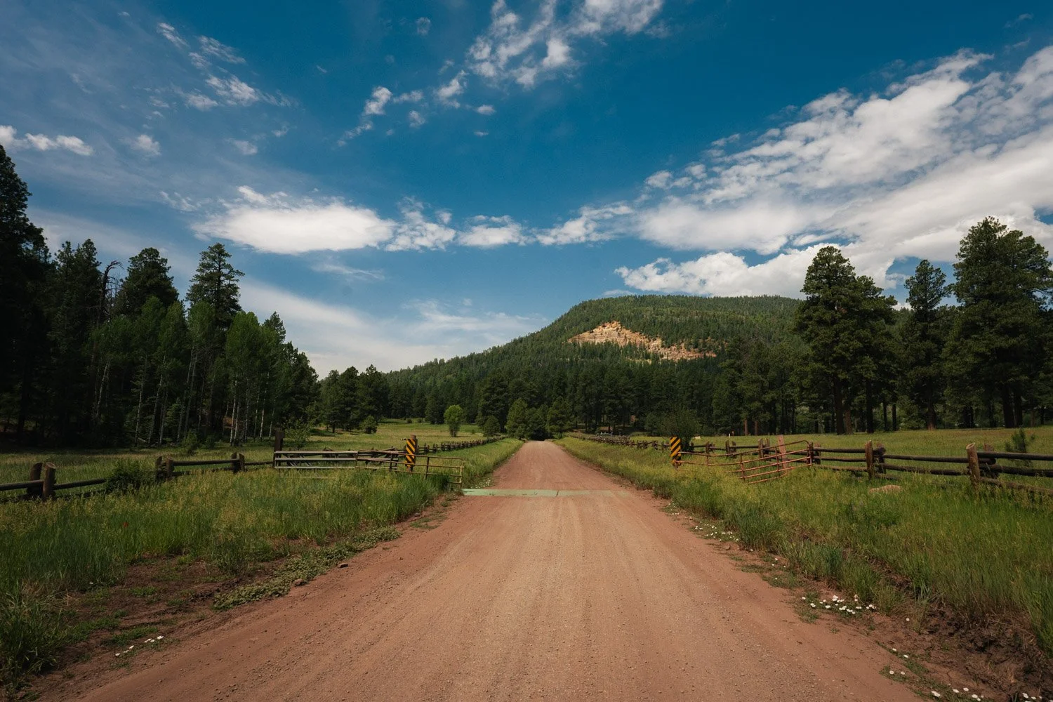 TWW_0613_Spiritof1876_Colorado.0028.jpg