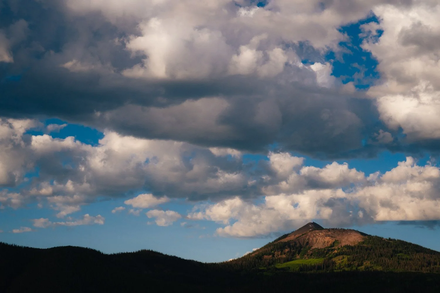 TWW_Colorado_Summer-8398.jpg