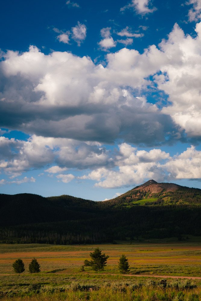 TWW_Colorado_Summer-8412.jpg