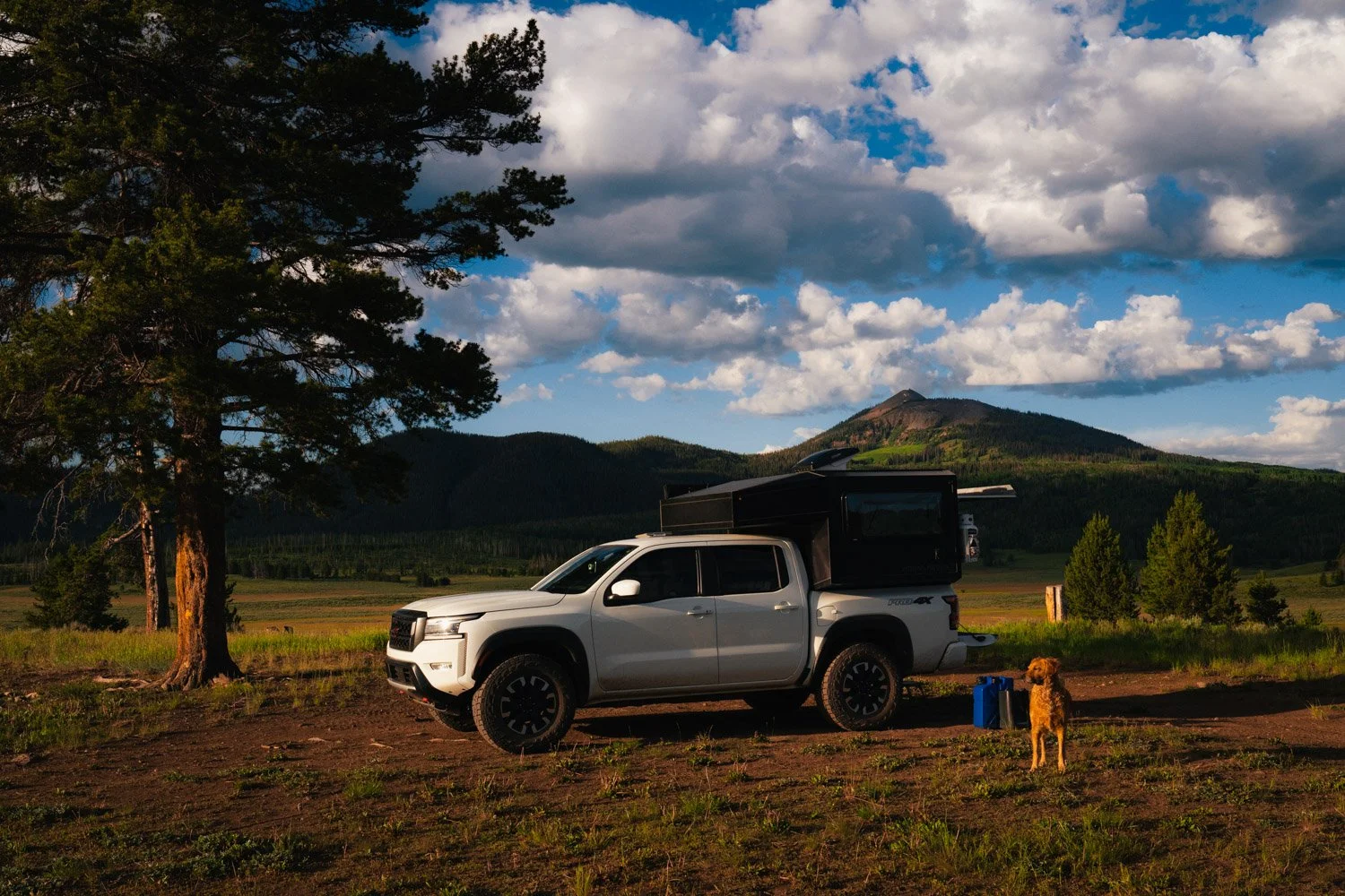 TWW_Colorado_Summer-8413.jpg