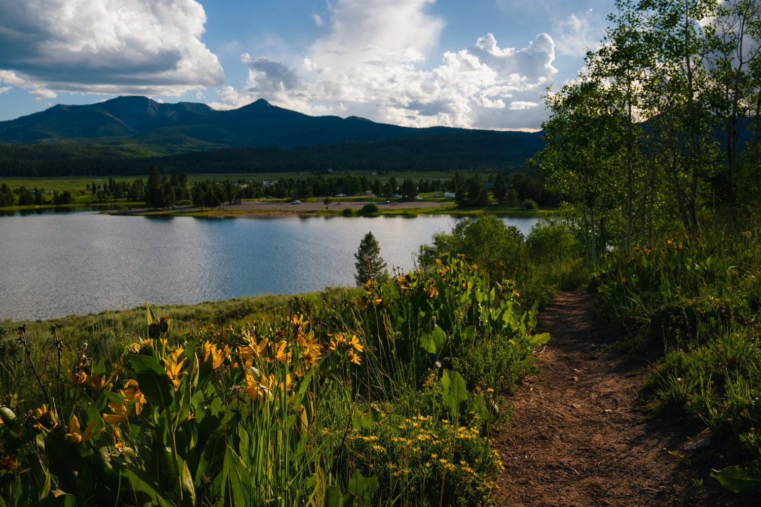 TWW_Colorado_Summer-8502.jpg