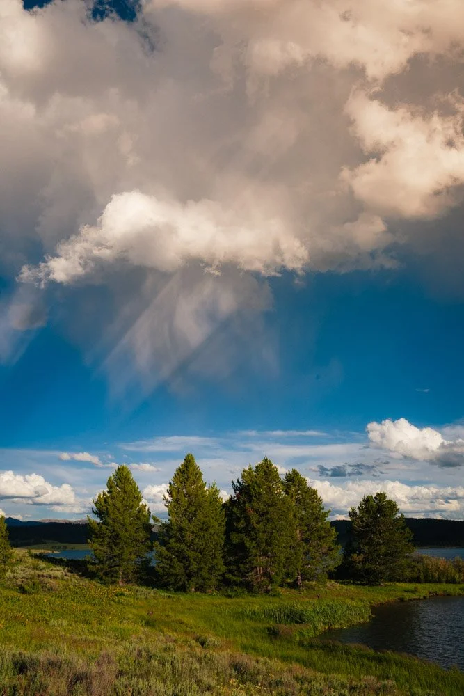TWW_Colorado_Summer-8578.jpg