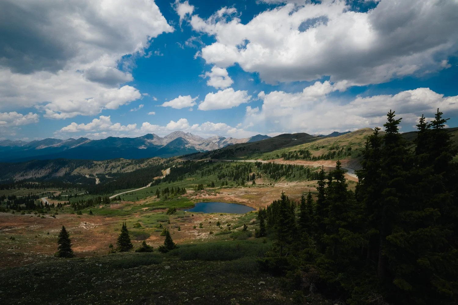 TWW_Colorado_Summer2026-7946.jpg
